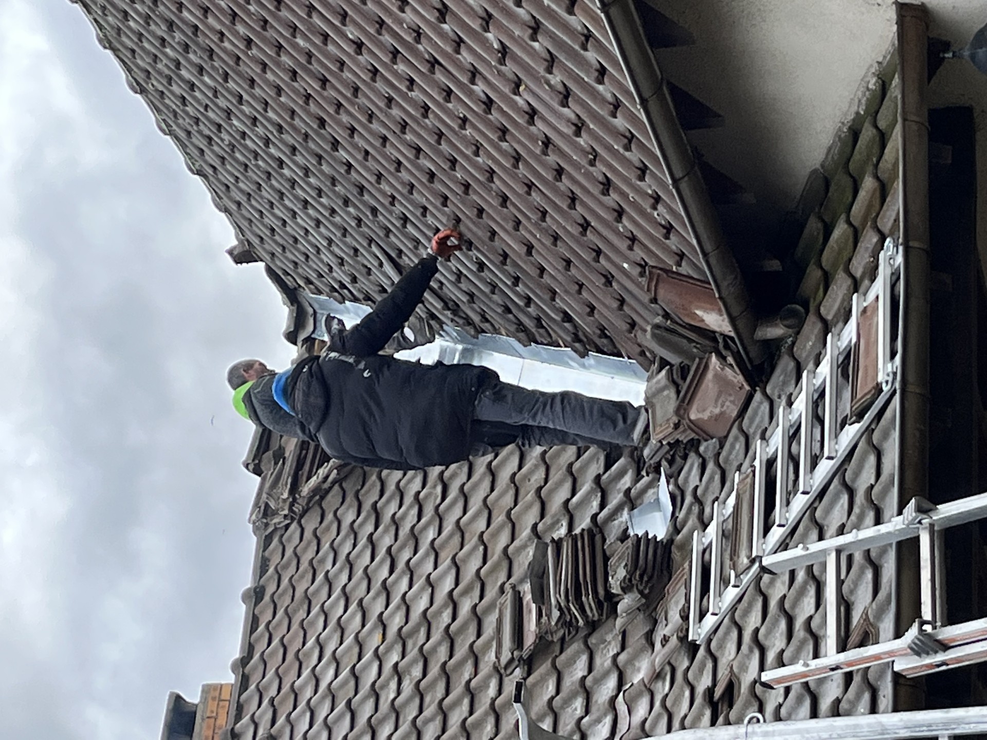 Img 1377